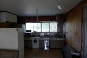 P1640188-11