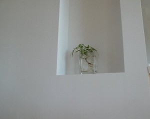 P1650619-2