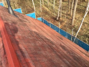 img_8039-1