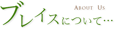 ブレイスについて