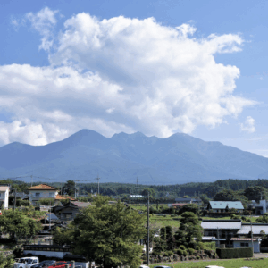 https://www.brace.jp/ko/wp-content/uploads/2025/05/スクリーンショット-2025-05-30-9.20.16-300x300.png